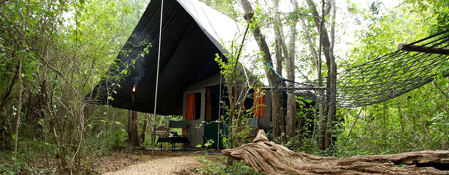 Luxury Camping